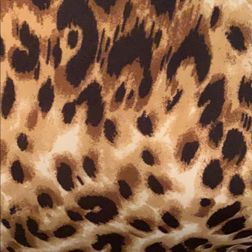 Plus Size Leopard Print Dress - Picture 4 of 4